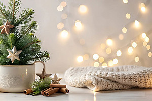Celebrate a Stress Free Christmas with Victoria James Concierge
