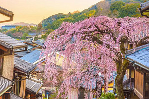 5 Cities to Visit this Summer