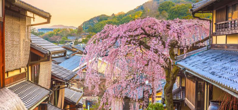 5 Cities to Visit this Summer